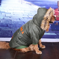 Армейский Зеленый