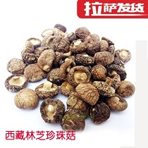 Tibet Tefili Rinzhi Pearl Mushrooms 500 gr Wild Little Shiitake Mushrooms MUSHROOMS Nourishing Fungus 