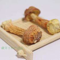 Tibet Terinata Rinzhi wild Ji Songfuri Furry Mushroom dried goods Cooking Soup No Sulphur Basil Mushrooms 500g