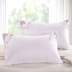 Topotecan chim bông dệt Lavender Gối Gối 48x74cm Đơn Đôi gối một cặp đánh bại hai sinh viên - Gối gối ôm cao su non Gối