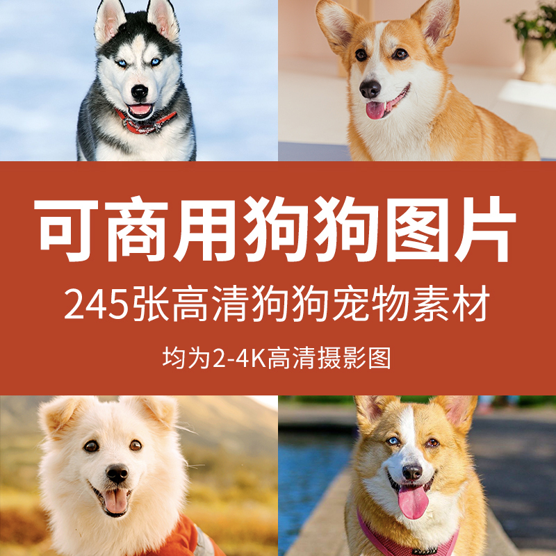 Commercially Usable Dog Images, High-Definition Pet Dog Photos, Cute Pet Dog Supplies Materials