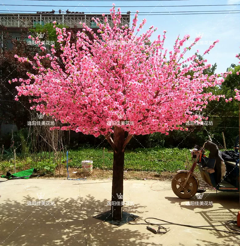 Mô phỏng cây đào giả cây đào lớn Cây mô phỏng cây anh đào mô phỏng cây đào mong muốn cây đào hoa trang trí phòng khách - Hoa nhân tạo / Cây / Trái cây