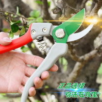 German German Shibao imported flower pruning shears garden tools fruit tree scissors pruning trees flower branches gardening rough shears