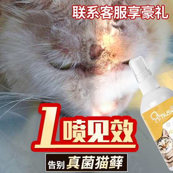 Spray for external use of cat moss to treat cat ringworm. Medicated bath spray for cats to treat skin diseases and cat ringworm.