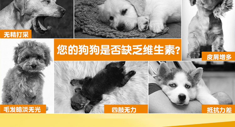 Meds Dog Viên nén vitamin tổng hợp Cat Vitamin Pet Sản phẩm sức khỏe cho chó Dinh dưỡng sữa cho mèo con mất mẹ