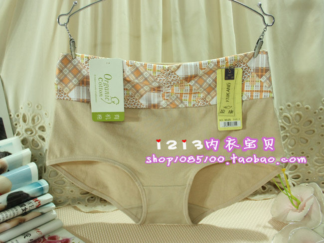 Slip - Ref 645743 Image 7