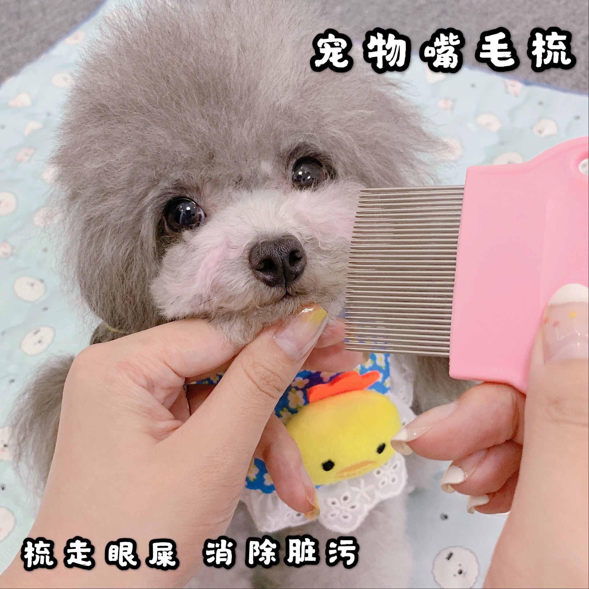 Dog comb new pink easy to use mouth hair pet needle comb to float hair does not hurt skin open glutinous rice dumplings