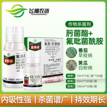 Germany Bayer Luna Sen cucumber target spot disease grape Black Star disease strawberry rose powdery mildew pesticide fungicide