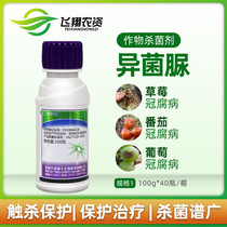 Dafoyin isomycetes urea Strawberry grape tomato gray mold Banana crown rot Pesticide fungicide 100g