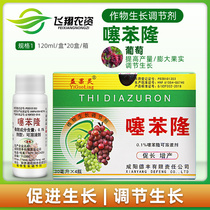 Yiguoling Thiaben grape big fruit set fruit fruit to promote fruit increase yield growth regulator expansion agent