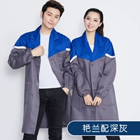 Весна и осенний стиль на верхней орхидее и серых на дне