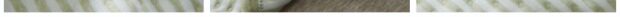 TB29ozsEH1YBuNjSszeXXablFXa_!!1085908226.jpg