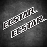 Наклейки на мотоциклы и мотоциклы, моторное масло ECSTAR, водонепроницаемые светоотражающие наклейки, блокирующие царапины, декоративные наклейки, подходящие для мотоциклов Suzuki