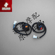 New Feeling 250 motorcycle switch switch XGJ250 - 21 motorcycle R300 switch