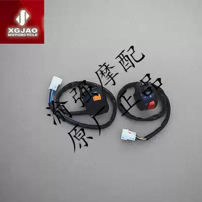 New feeling 250 locomotive switch gate XGJ250-21 locomotive R300 gate switch handle switch