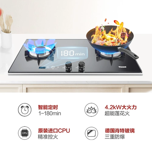 Rinnai/林内 JUW11G+01LT SICE SUSCTION DARGE HOUDS Газовые плита набор набора плиты времени