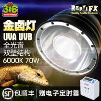 REPTIFX Climbing pet Metal halide lamp set UVAUVB Full spectrum sun lamp Tortoise maned Lion Lizard Iguana fleshy