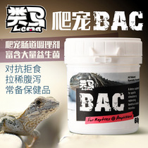 Horse-like BAC climbing pet Gastrointestinal conditioning probiotics Reptile Tortoise maned lion Pet snake Laziness refusal diarrhea Nutri