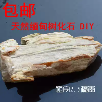 Tree jade raw stone wool Burmese Wood fossil silicified wood Jade fish tank bonsai turtle drying table rockery ornamental stone