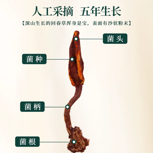 Huichun Cao Wild Yunnan Shenshan новый продукт настоящий подлинный 500G Top Sky Pillar Cistanor Publisa Мужской мужской старый чай Cao Buba