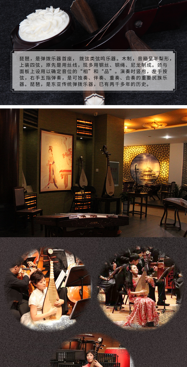 Xinghai 琵琶 Nhạc cụ dành cho người mới bắt đầu Người lớn Bắt đầu Hardwood Bone Flower Ruyi Ruyi 8911-1 dan ti ba