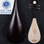 Xinghai 琵琶 Nhạc cụ dành cho người mới bắt đầu Người lớn Bắt đầu Hardwood Bone Flower Ruyi Ruyi 8911-1 sáo ngọc