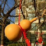 Натуральный фэн -шуй тыкв тыква дома город Таун Таун Самая Фортуна принесит лидирующие кулонку «Большие тыквы Моторс»