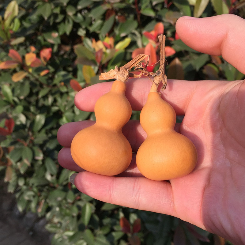 With tap natural hand twist small plinth handlebar piece boutique to play the hyacinth American pplinth