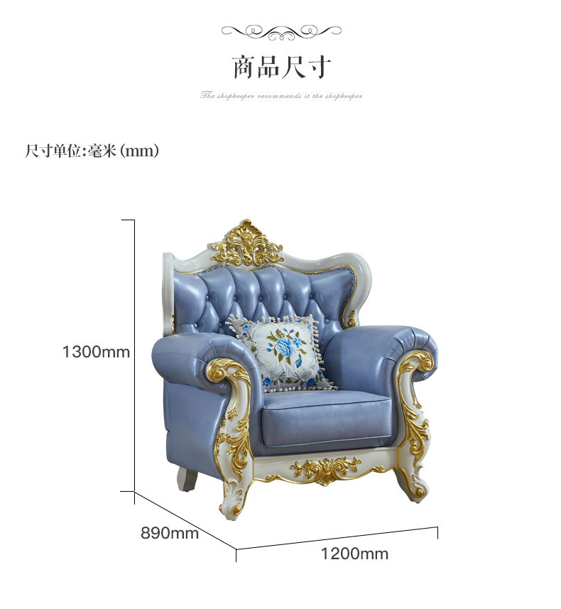 WST19906 SOFA_24.JPG