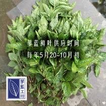 DIY hand-dyed cloth blue fresh leaves green leaves grass and wood dyeing natural and odorless