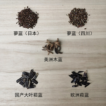 Newly produced seeds of various blue grass seeds blue indigo seeds