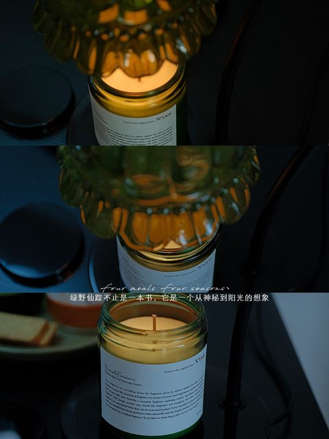 The Wizard of oz Lily of the Valley Scented Wax Melt Candle Romantic Vintage Fragrance Wax Melt ins Bedroom Bedside Flameless