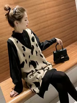 Pregnant women autumn suit fashion model 2021 new foreign style jacket dress long version Net Red Spring and Autumn Winter Dress