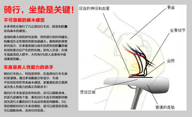 Selle de vélo Mountain Bike SELLE ROYAL - Ref 2348189 Image 11