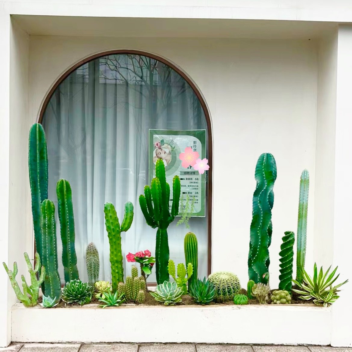 惠乐花卉 沙生植物造景的LOGO