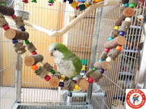  Medium and large parrot climbing ladder gnawing ladder molar toy Parrot suspension bridge swing toy Natural log toy