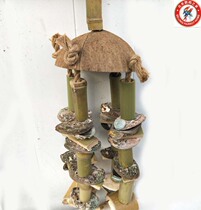 Medium large parrot nibbling with toy bird supplies Coconut Shell Oyster Shell shell Calcium Grinding Mouth King Diamond Sunflower Toy