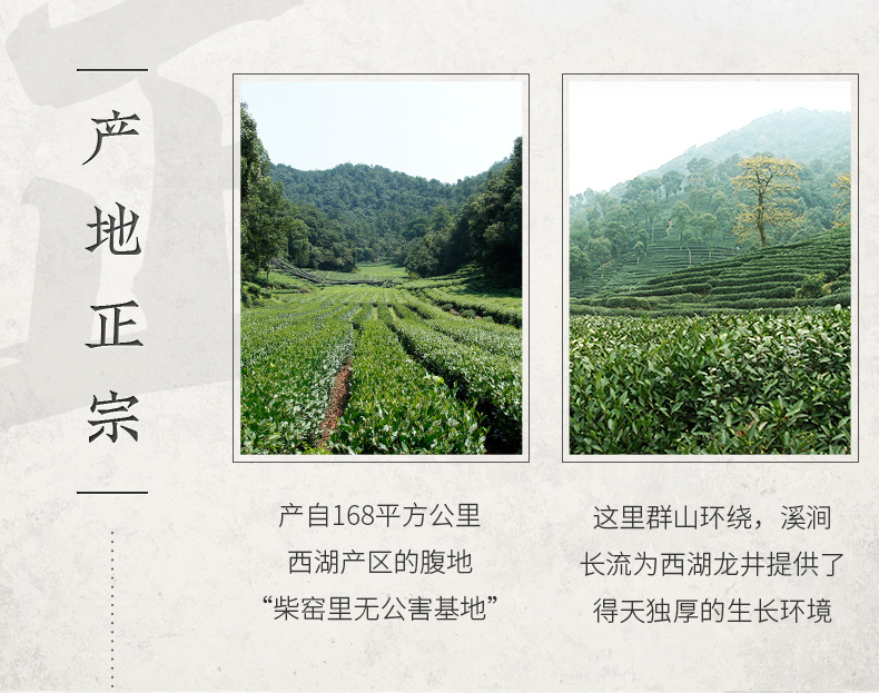梅府茗家 雨前西湖龙井 250g 图5