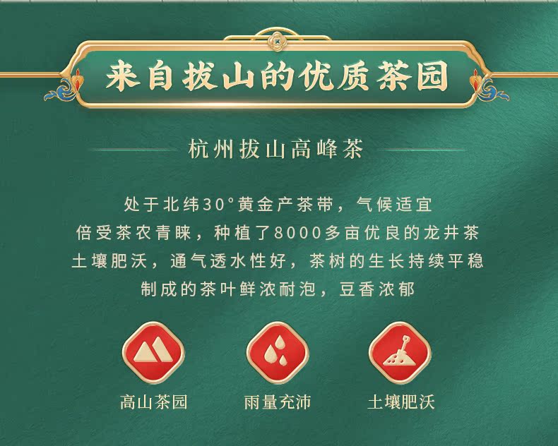 梅府茗家 雨前龙井 250g 钱塘产区 图7