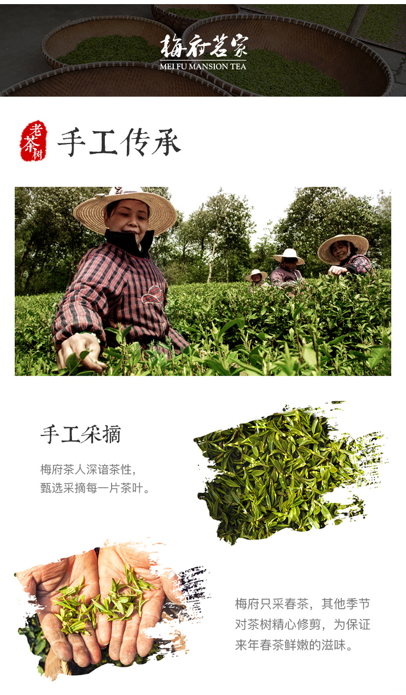 梅府茗家 雨前二级 西湖龙井 250g 图3