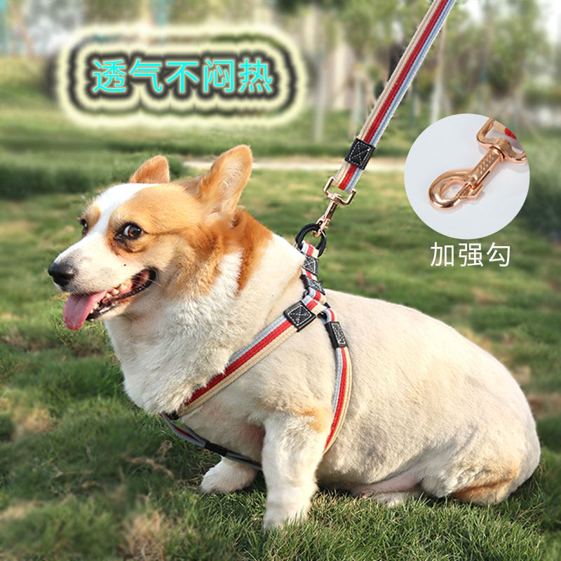 Dog Traction Rope Pet Vest Style Large Small Dog Tedico Fund Dog Strap Strap Walk Dog Rope