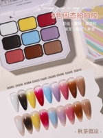 Осенний чай слегка 9 цветов PAT Glue