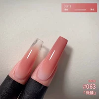 DG063 слегка опьянен [сорт Pai pai gua]