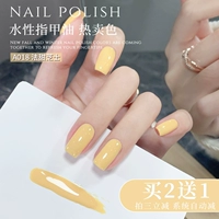 A018#fa sweet cheese 