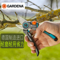 German imported Kadina pruning shears coarse hard dry dead branches flower art fruit trees professional scissors tools gardeners