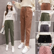 Quần nhung kẻ nữ 2019 xuân hè mới có kích thước lớn rộng rãi Quần nhung kẻ màu hồng nữ chín điểm quần cà rốt quần harem