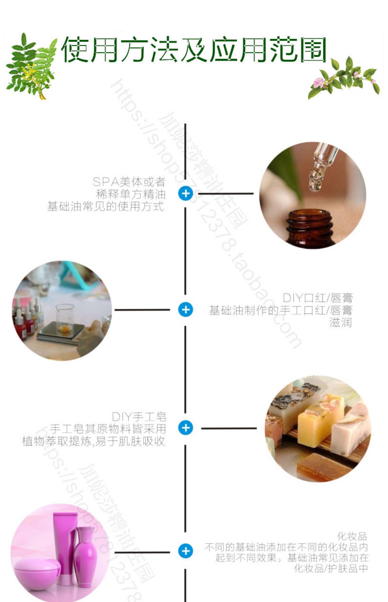 Basic Green Grape Seed Oil Plant Essential Oil Massage Face Facial Body Body Moisturising Makeup Makeup Beauty Salon - Tinh dầu điều trị tinh dầu hoa bưởi