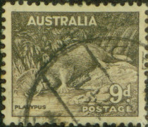 Australia · 1937-1946 Common (14-9) 9p Platypus