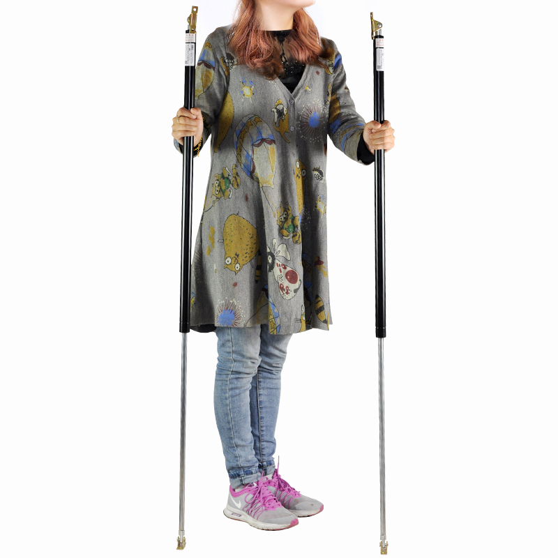 Customized 1600 - 1700mm ultra - long heavy air spring hydraulic pneumatic scaling rod buffer nitrogen tensile