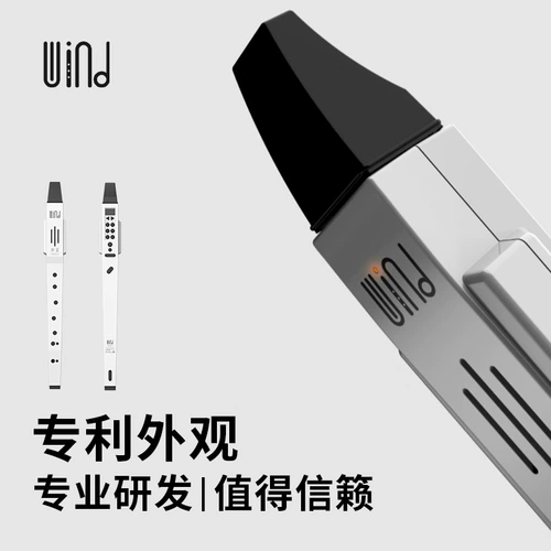 Универсальные портативные музыкальные инструменты для взрослых для школьников для начинающих, bluetooth